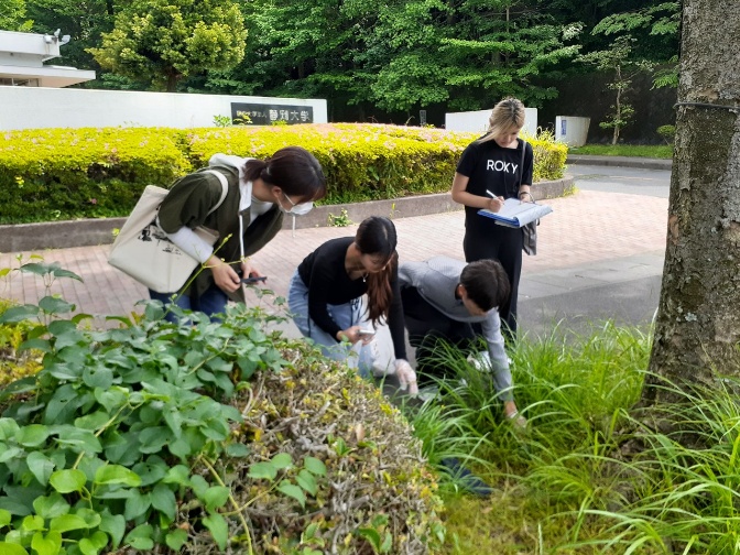 静岡大学および周辺エリアのポイ捨てゴミの調査(5月15日）