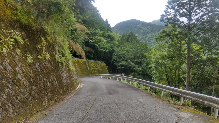 日常に戻りつつあります(5月26日)