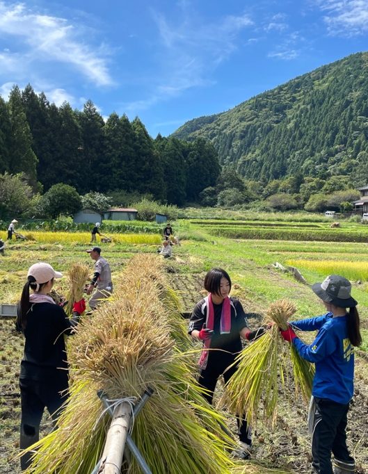 田植え体験から考える米作りと棚田問題 〜稲刈り〜(9月20日-21日）